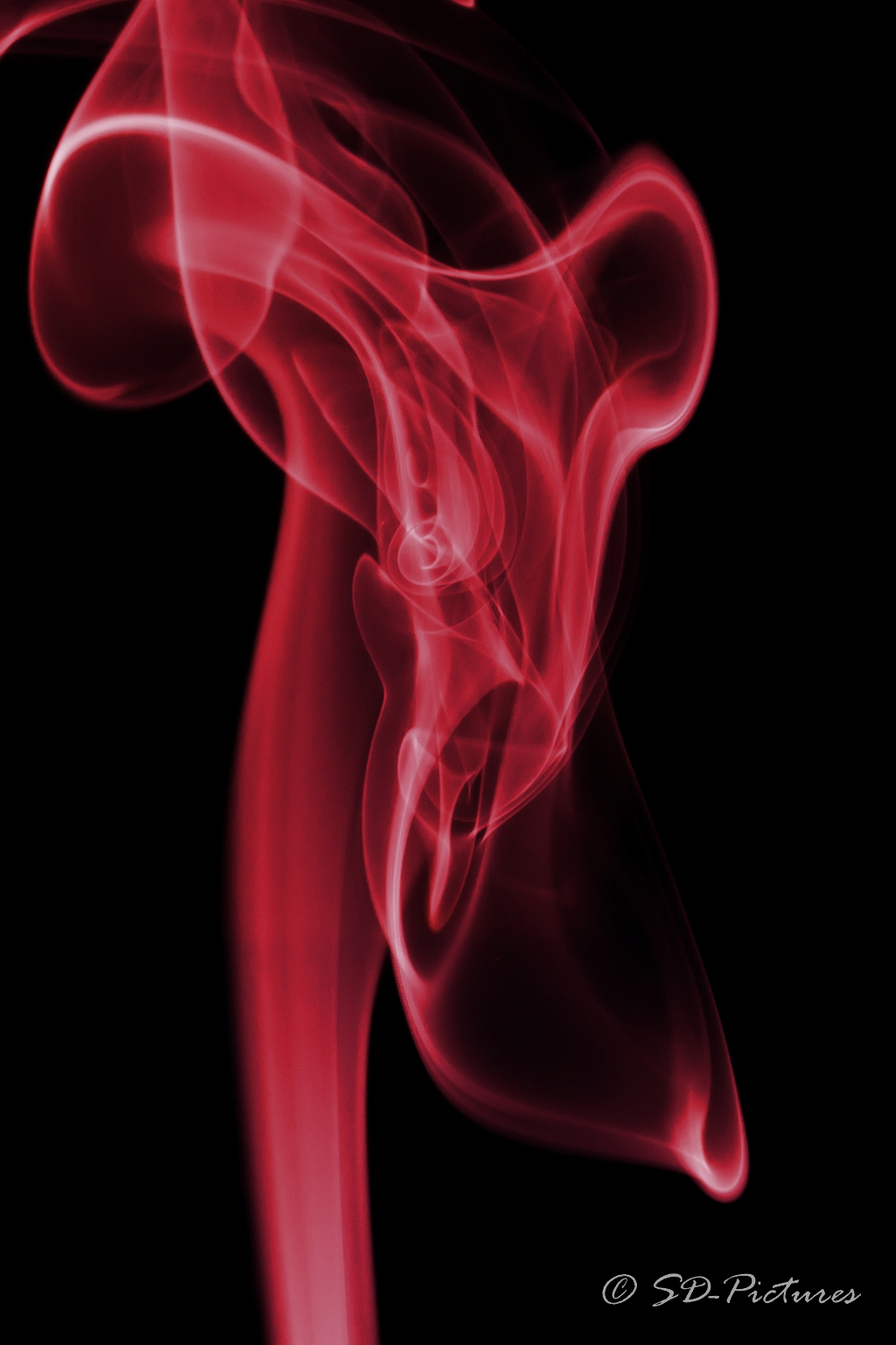 WEB  DP 3305 als Smartobjekt 1 Kopie